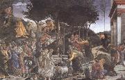 Sandro Botticelli Trials of Moses oil painting